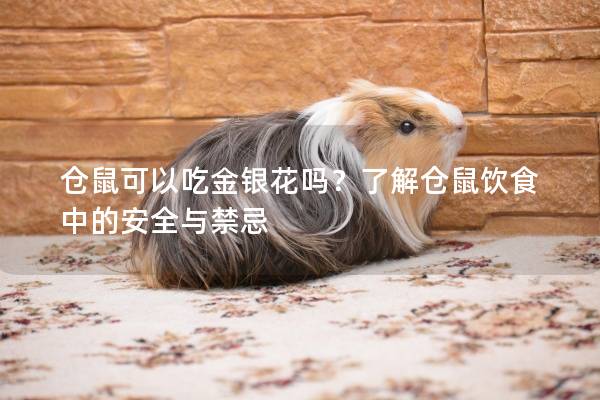 仓鼠可以吃金银花吗？了解仓鼠饮食中的安全与禁忌