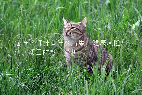 猫咪不打针有什么后果，健康风险与生活质量的影响分析