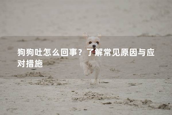 狗狗吐怎么回事？了解常见原因与应对措施