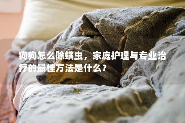 狗狗怎么除螨虫，家庭护理与专业治疗的最佳方法是什么？