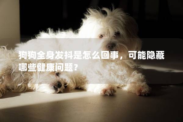 狗狗全身发抖是怎么回事，可能隐藏哪些健康问题？