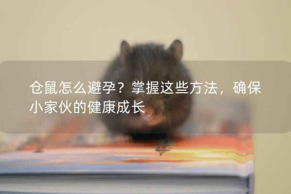 仓鼠怎么避孕？掌握这些方法，确保小家伙的健康成长