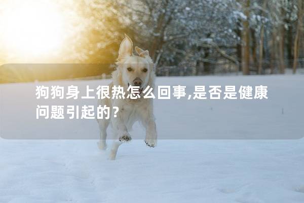 狗狗身上很热怎么回事,是否是健康问题引起的？