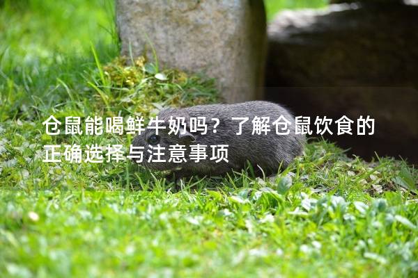 仓鼠能喝鲜牛奶吗？了解仓鼠饮食的正确选择与注意事项
