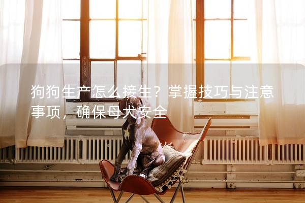 狗狗生产怎么接生？掌握技巧与注意事项，确保母犬安全