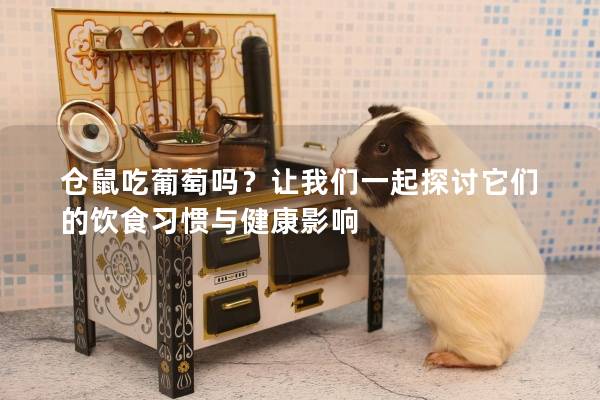仓鼠吃葡萄吗？让我们一起探讨它们的饮食习惯与健康影响
