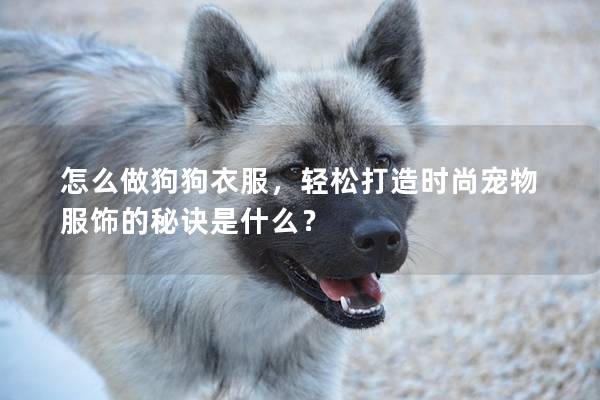 怎么做狗狗衣服，轻松打造时尚宠物服饰的秘诀是什么？