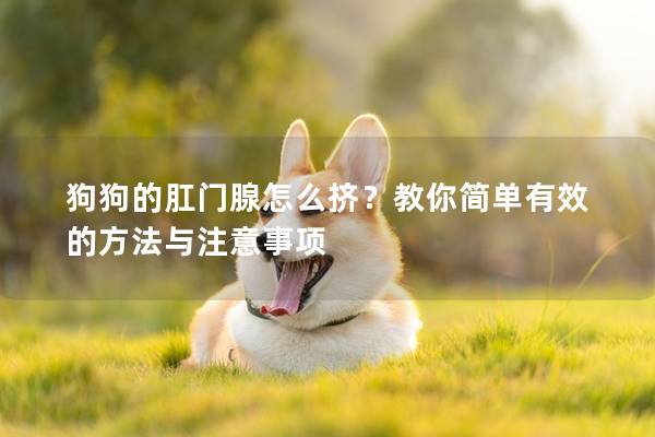 狗狗的肛门腺怎么挤？教你简单有效的方法与注意事项