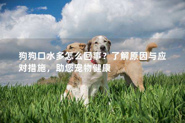 狗狗口水多怎么回事？了解原因与应对措施，助您宠物健康