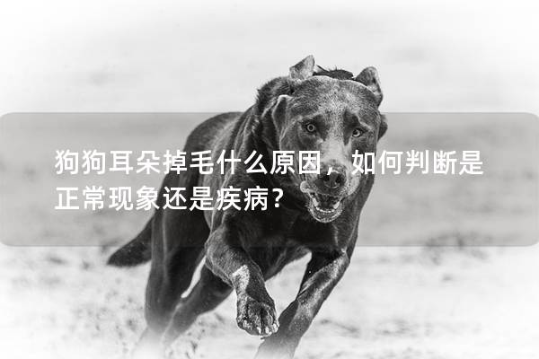 狗狗耳朵掉毛什么原因，如何判断是正常现象还是疾病？