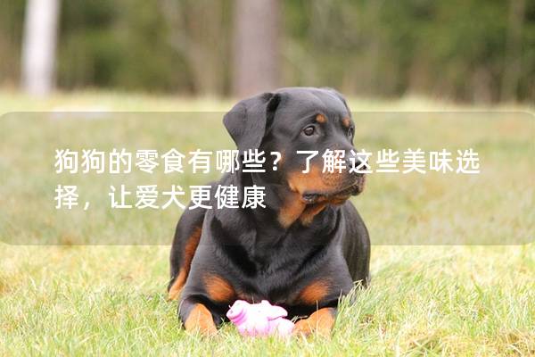 狗狗的零食有哪些？了解这些美味选择，让爱犬更健康