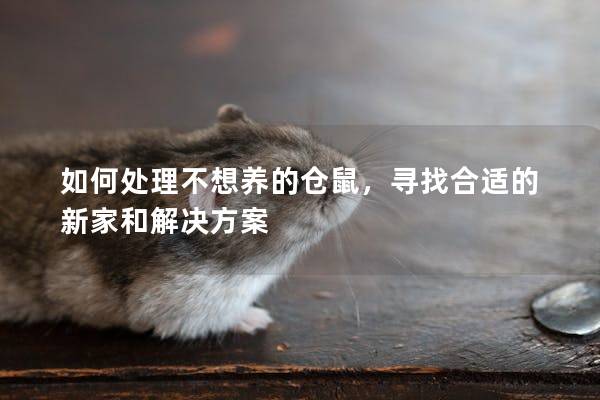 如何处理不想养的仓鼠,寻找合适的新家和解决方案 如何处理不想养的仓鼠,寻找合适的新家和解决方案