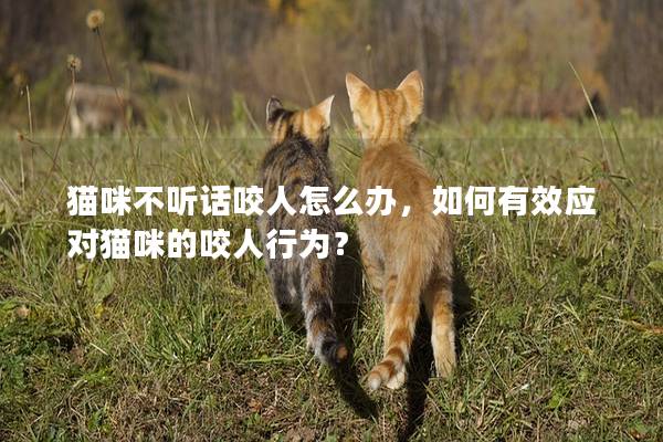 猫咪不听话咬人怎么办，如何有效应对猫咪的咬人行为？