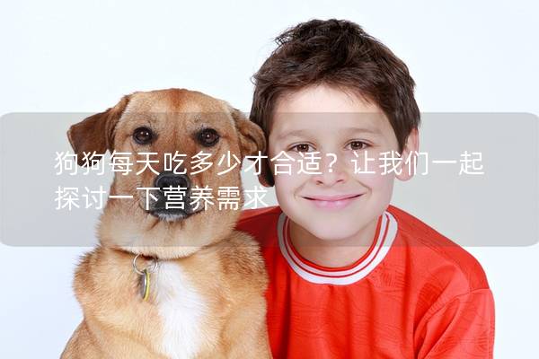狗狗每天吃多少才合适?让我们一起探讨一下营养需求 狗狗每天吃多少才合适?让我们一起探讨一下营养需求
