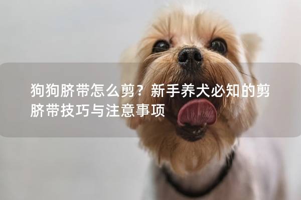 狗狗脐带怎么剪?新手养犬必知的剪脐带技巧与注意事项 狗狗脐带怎么剪?新手养犬必知的剪脐带技巧与注意事项