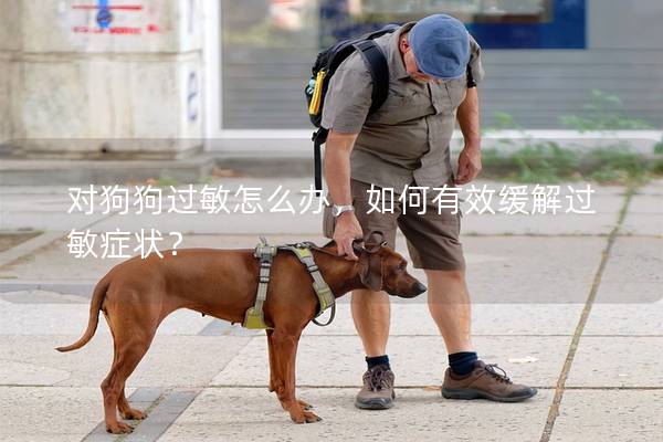 对狗狗过敏怎么办，如何有效缓解过敏症状？