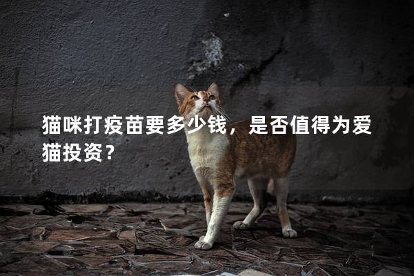 猫咪打疫苗要多少钱,是否值得为爱猫投资? 猫咪打疫苗要多少钱,是否值得为爱猫投资?