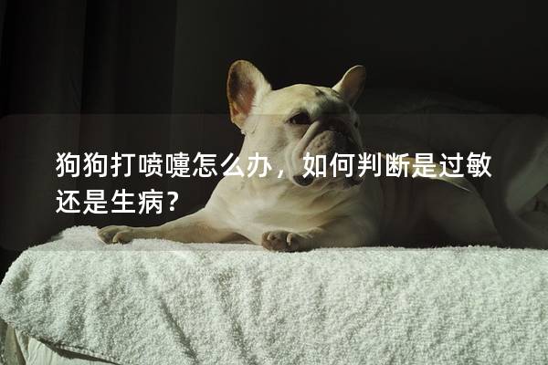 狗狗打喷嚏怎么办，如何判断是过敏还是生病？