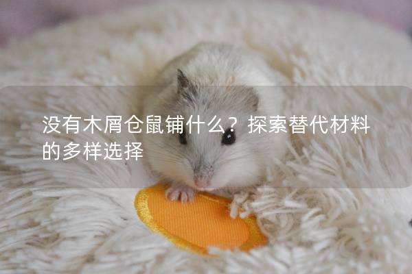 没有木屑仓鼠铺什么？探索替代材料的多样选择