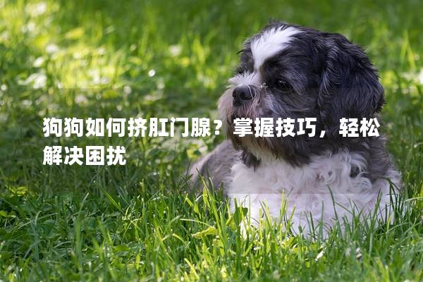 狗狗如何挤肛门腺？掌握技巧，轻松解决困扰