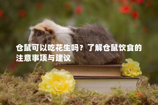 仓鼠可以吃花生吗？了解仓鼠饮食的注意事项与建议