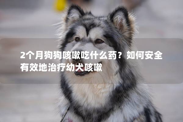 2个月狗狗咳嗽吃什么药？如何安全有效地治疗幼犬咳嗽