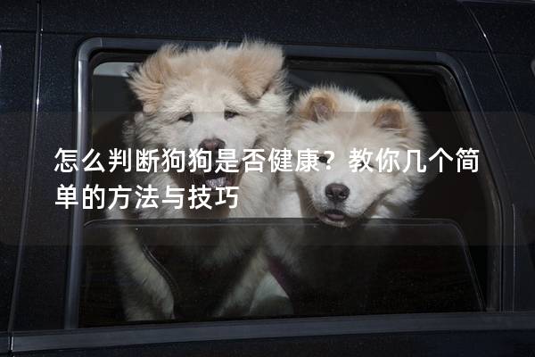 怎么判断狗狗是否健康？教你几个简单的方法与技巧