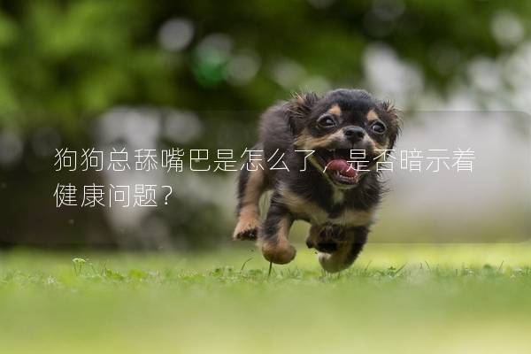 狗狗总舔嘴巴是怎么了，是否暗示着健康问题？