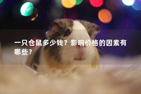 一只仓鼠多少钱？影响价格的因素有哪些？