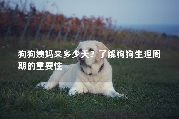 狗狗姨妈来多少天？了解狗狗生理周期的重要性