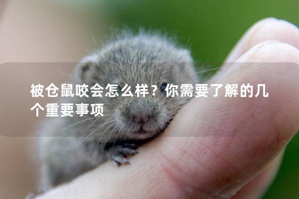 被仓鼠咬会怎么样？你需要了解的几个重要事项