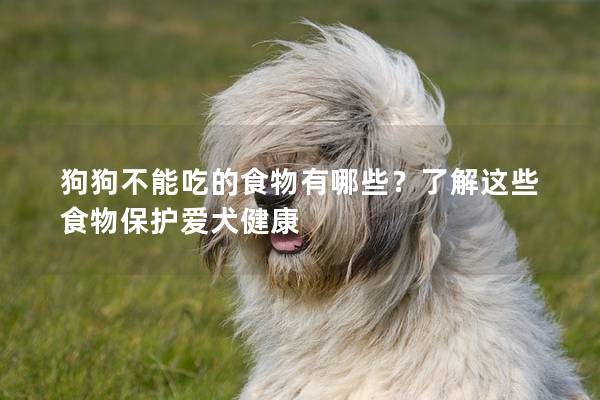 狗狗不能吃的食物有哪些？了解这些食物保护爱犬健康