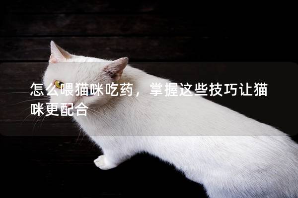 怎么喂猫咪吃药，掌握这些技巧让猫咪更配合