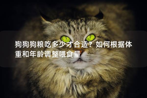 狗狗狗粮吃多少才合适？如何根据体重和年龄调整喂食量