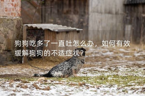 狗狗吃多了一直吐怎么办，如何有效缓解狗狗的不适症状？