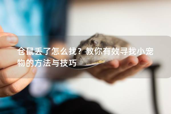 仓鼠丢了怎么找？教你有效寻找小宠物的方法与技巧