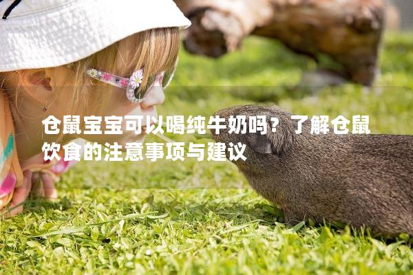 仓鼠宝宝可以喝纯牛奶吗?了解仓鼠饮食的注意事项与建议 仓鼠宝宝可以喝纯牛奶吗?了解仓鼠饮食的注意事项与建议