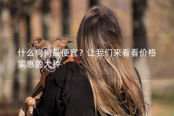 什么狗狗最便宜?让我们来看看价格实惠的犬种 什么狗狗最便宜?让我们来看看价格实惠的犬种