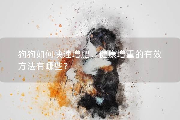 狗狗如何快速增肥，健康增重的有效方法有哪些？