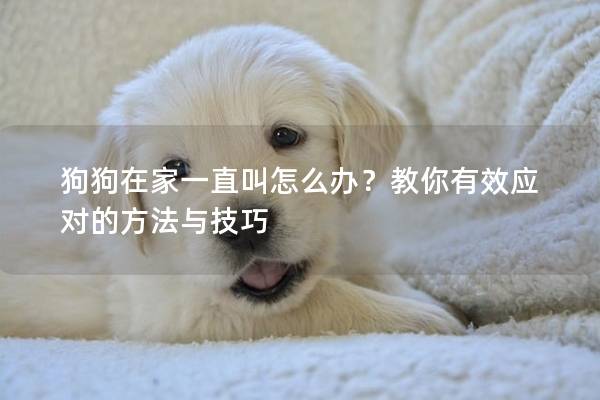 狗狗在家一直叫怎么办？教你有效应对的方法与技巧
