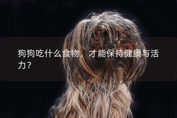 狗狗吃什么食物，才能保持健康与活力？