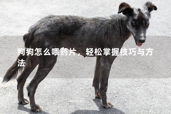 狗狗怎么喂药片，轻松掌握技巧与方法