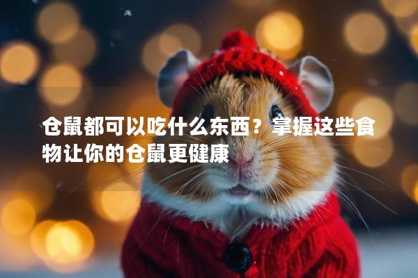 仓鼠都可以吃什么东西？掌握这些食物让你的仓鼠更健康