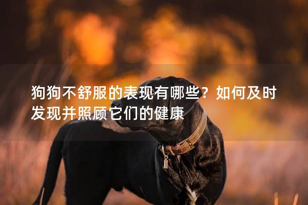 狗狗不舒服的表现有哪些？如何及时发现并照顾它们的健康