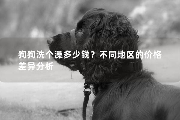 狗狗洗个澡多少钱？不同地区的价格差异分析