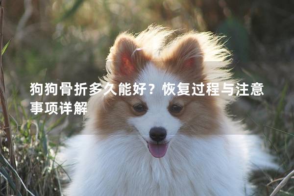 狗狗骨折多久能好？恢复过程与注意事项详解