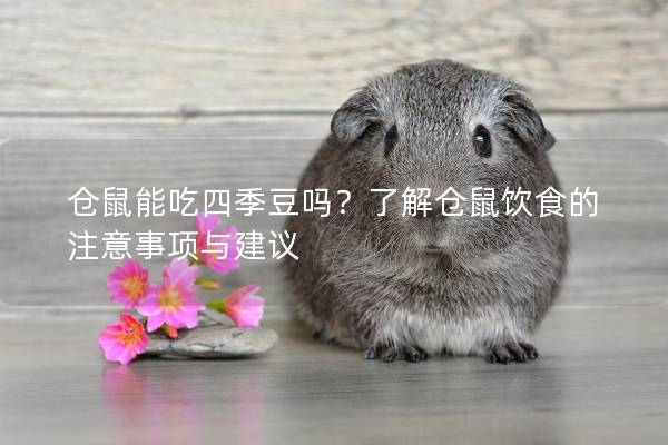 仓鼠能吃四季豆吗？了解仓鼠饮食的注意事项与建议
