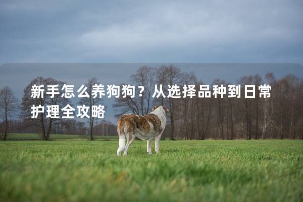 新手怎么养狗狗?从选择品种到日常护理全攻略 新手怎么养狗狗?从选择品种到日常护理全攻略