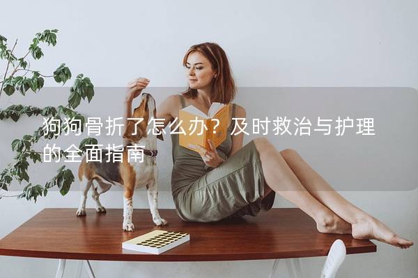 狗狗骨折了怎么办？及时救治与护理的全面指南