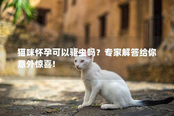 猫咪怀孕可以驱虫吗？专家解答给你意外惊喜!